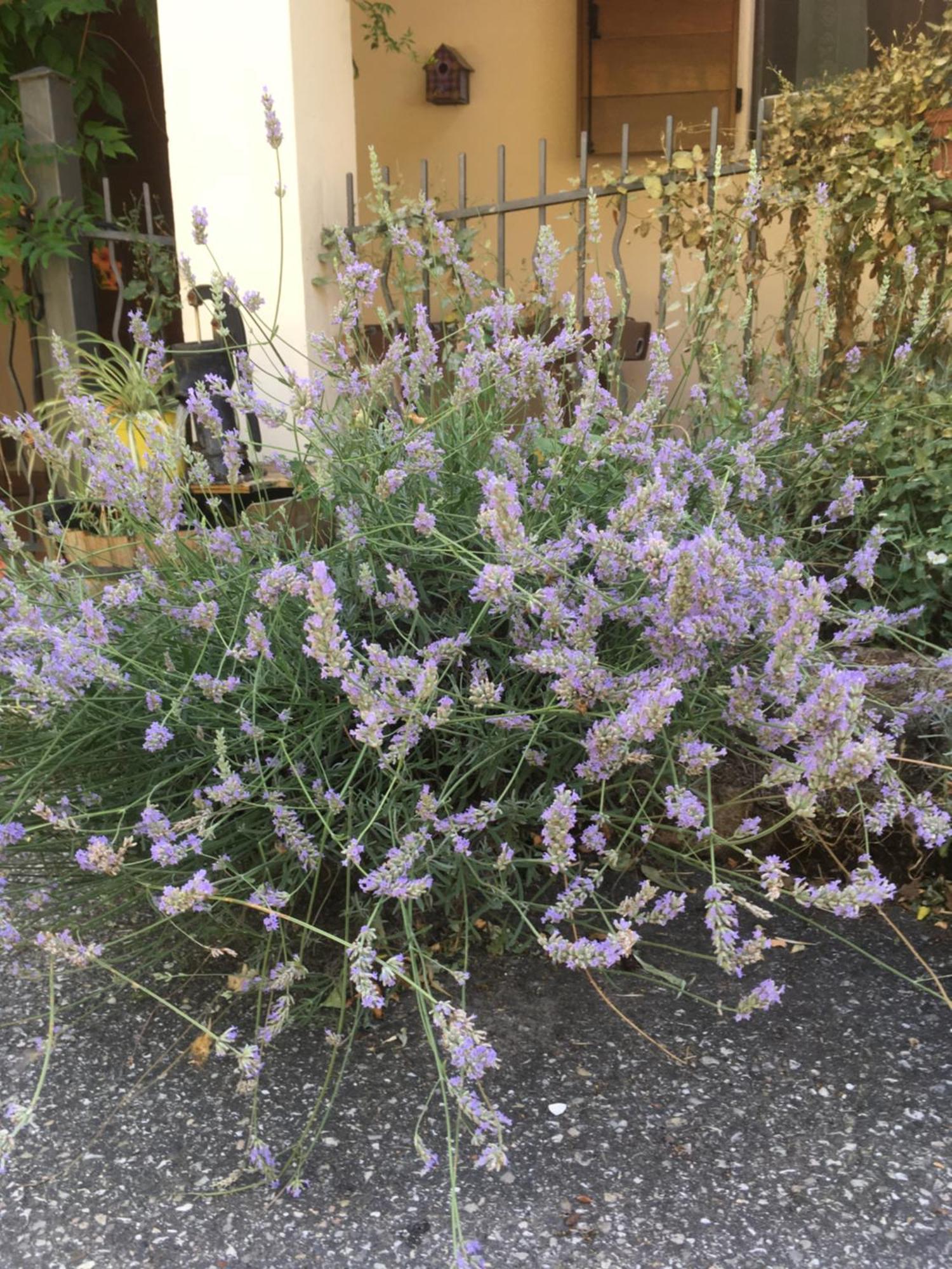 B&B Ca Biocco Sogliano al Rubicone Exteriör bild
