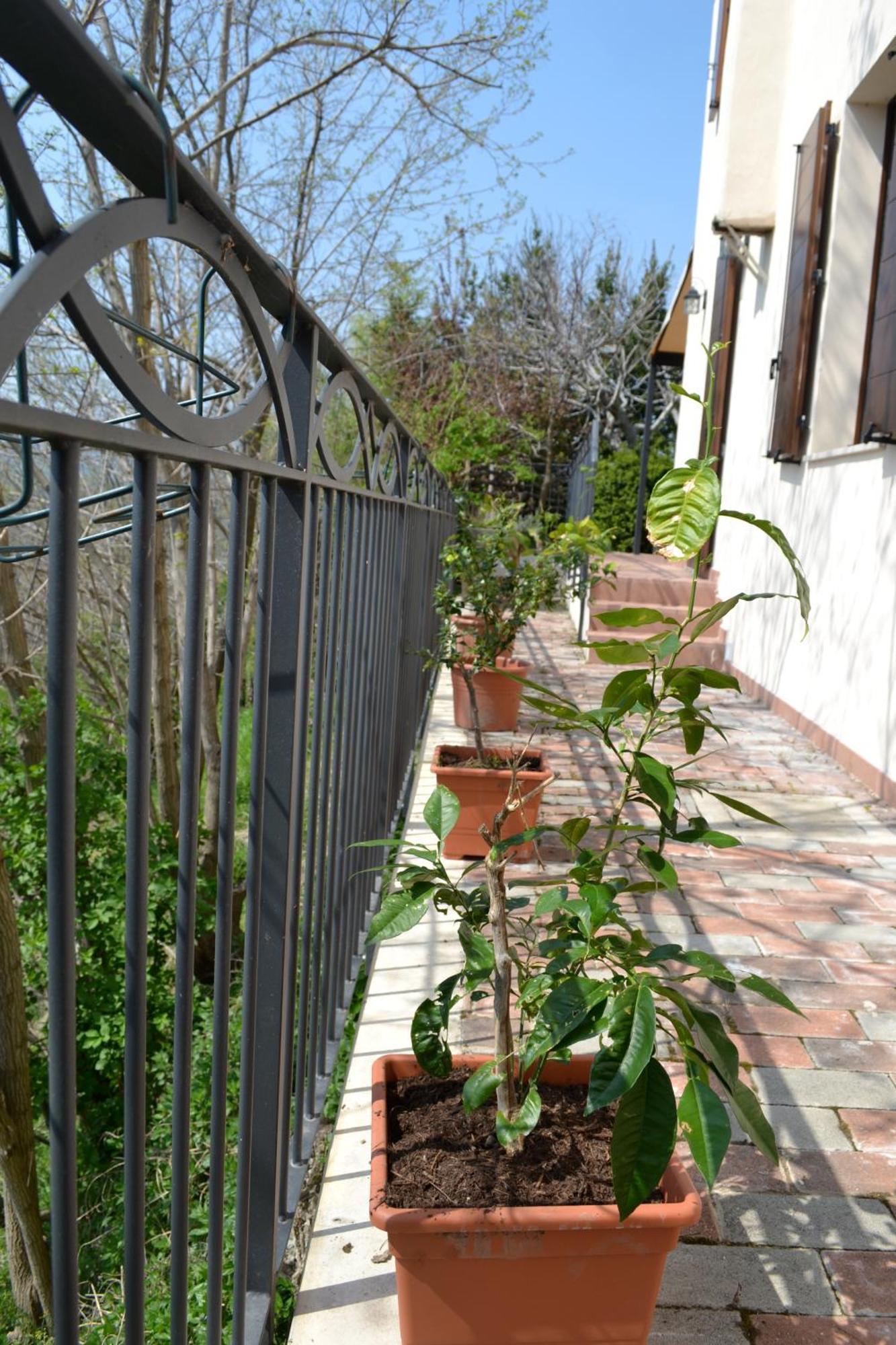 B&B Ca Biocco Sogliano al Rubicone Exteriör bild