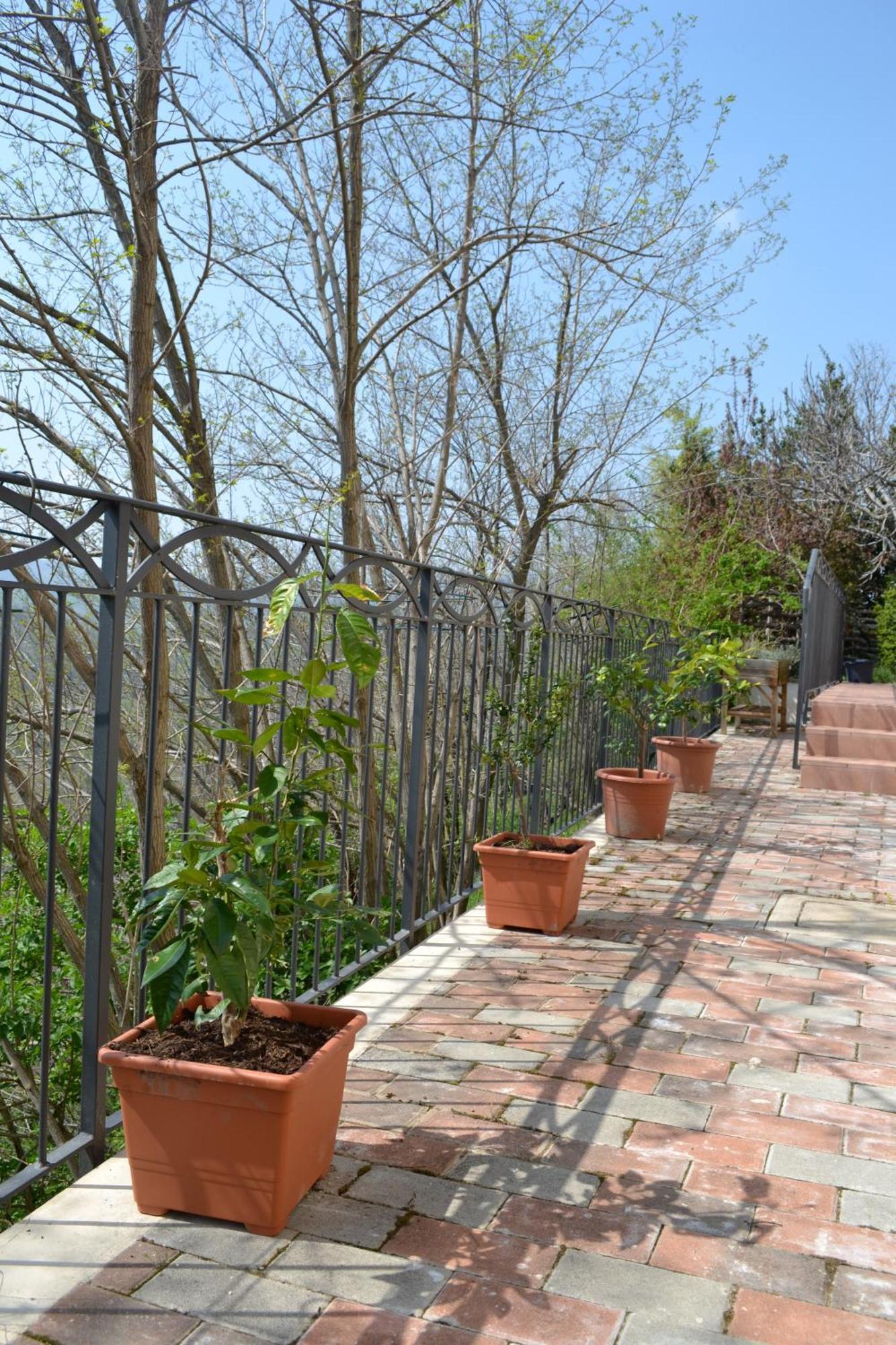 B&B Ca Biocco Sogliano al Rubicone Exteriör bild