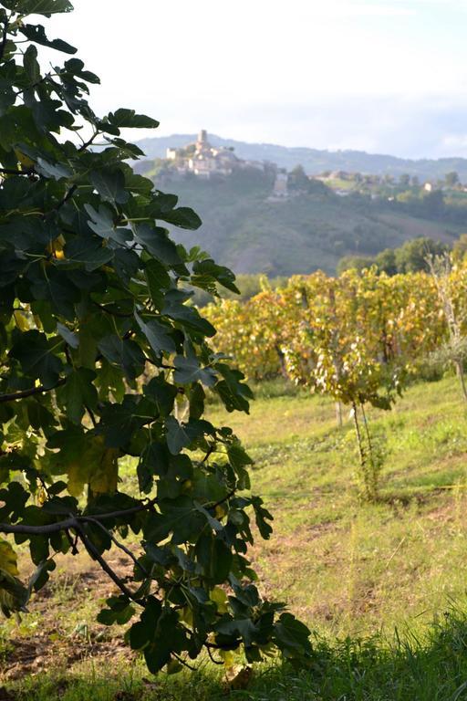B&B Ca Biocco Sogliano al Rubicone Exteriör bild