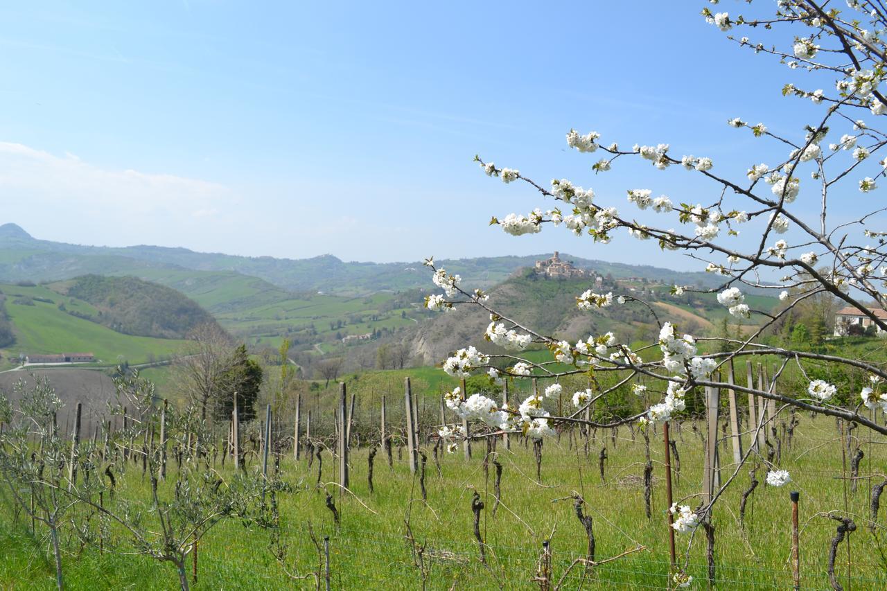 B&B Ca Biocco Sogliano al Rubicone Exteriör bild
